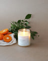 Citrus Grove - Soy Candle